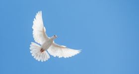 Gottesdienst zum Ewigkeitssonntag mit Totengedenken