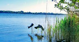 Sommerkirche, Gottesdienst mit Taufen am/im Bistensee, anschl. Kirchenkaffee, Pastorin Kerstin Hansen-Neupert und Vikarin Kristina Naßhan