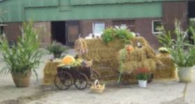 Gottesdienst zum Ernteumzug
