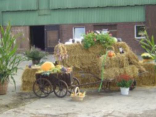 Gottesdienst zum Ernteumzug