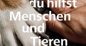 „Gott, du hilfst Menschen und Tieren" - Ökumenischer Gottesdienst zum Tag der Schöpfung 2025