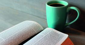 Bibel feministisch gelesen - Online-Bibelwerkstatt