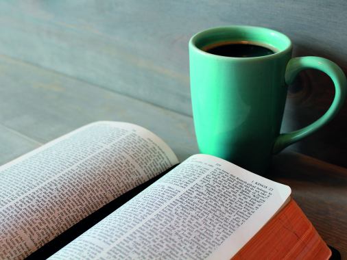 Bibel feministisch gelesen - Online-Bibelwerkstatt