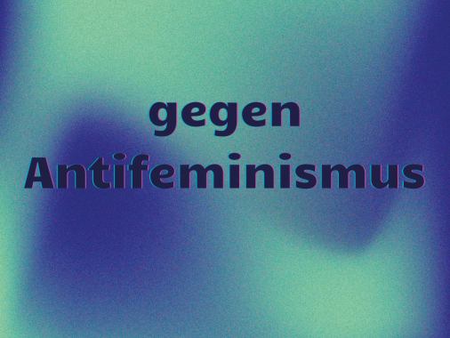 Hate Speech: Was tun gegen Antifeminismus?