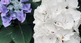2. Gottesdienst der Sommerpredigtreihe in EVA 4.0
