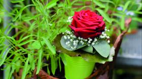 GD zum Thema "Der Name der Rose/ das Lachen" m. P.i.R. Wolfgang Drews
