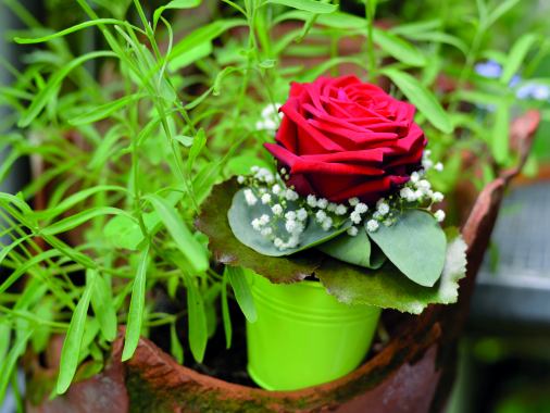 GD zum Thema "Der Name der Rose/ das Lachen" m. P.i.R. Wolfgang Drews