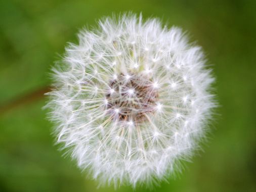 Begrüßungsgottesdienst für die neuen Kindergartenkinder