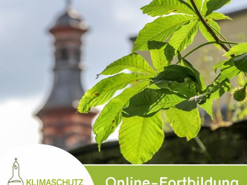 Artenschutz rund um den Kirchturm