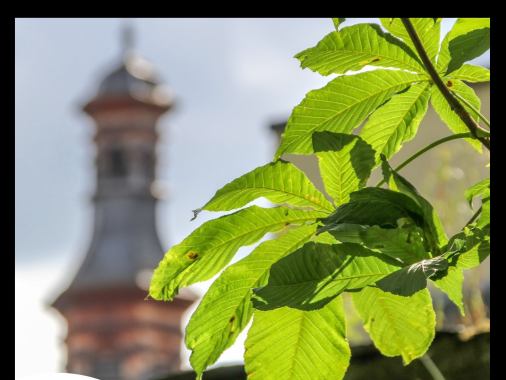 Herausforderung Hitze