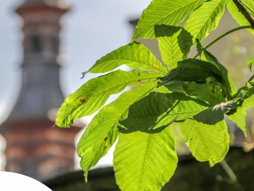 Gemeinde nachhaltig mobil