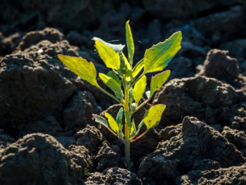 Kennenlernabend für Freiwillge, die das Hoffnungscafe unterstützen wollen