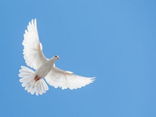 Gottesdienst zum Ewigkeitssonntag mit Totengedenken & Chor