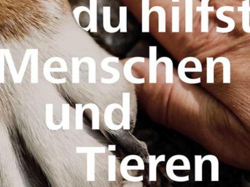 „Gott, du hilfst Menschen und Tieren" - Ökumenischer Gottesdienst zum Tag der Schöpfung 2025