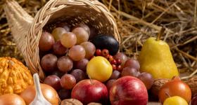 Gemeinsamer Gottesdienst im Luthergarten