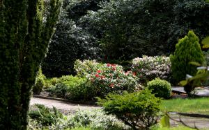 Friedhof Mehlbek