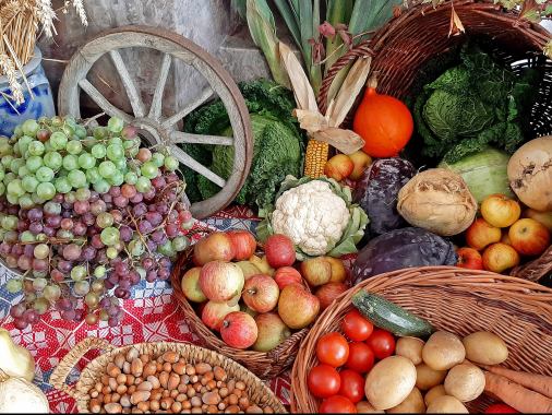 Erntedankgottesdienst mit der Friedrich-Junge-Grundschule