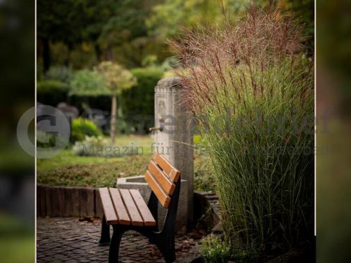 Andacht zum Ewigkeitssonntag