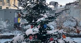 Tannenbaumanleuchten zum 1. Advent