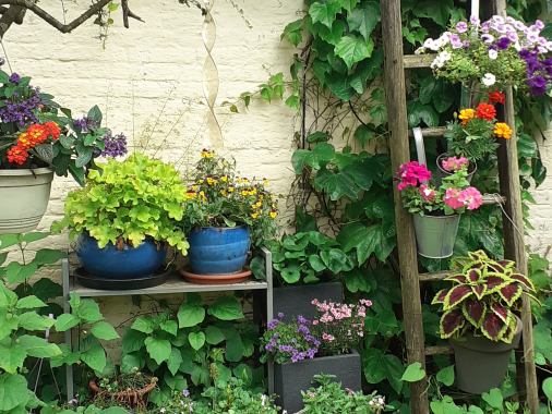 Andachten im Garten 2025