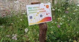 Blühende Gemeinschaft- offener Treff für Alle