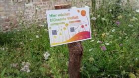 Blühende Gemeinschaft- offener Treff für Alle