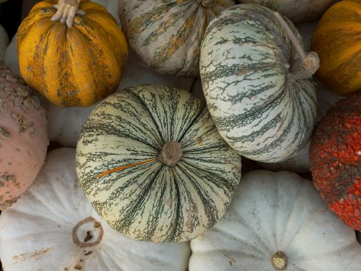 Gottesdienst mit Pastorin Sabrina Biehl