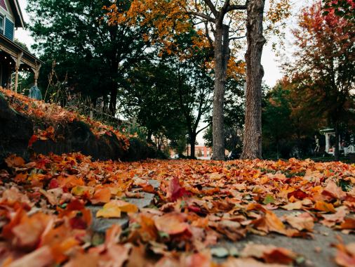 Abendmahlsgottesdienst mit Pastorin Sabrina Biehl