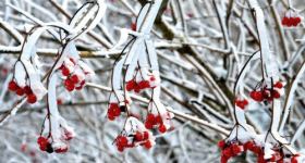 1. Advent Gottesdienst für Kleine + Große mit der Kita Iserbrook