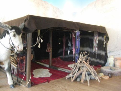 Gute-Nacht-Geschichte