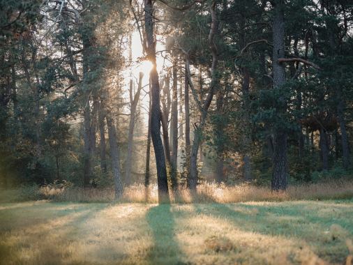 Einladung zum Gottesdienst in die Kapelle des Lindenhofs