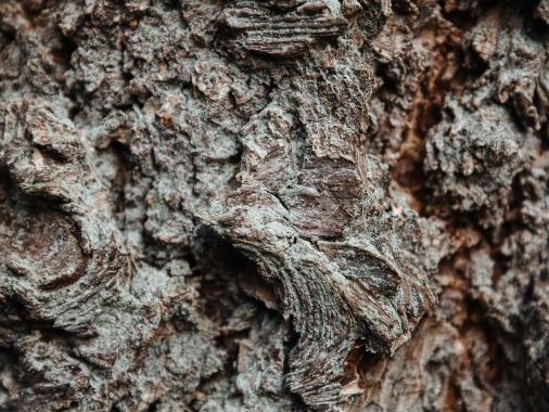 Spagehtti Gottesdienst zum Abschluss der KIBIWO im Gemeindehaus