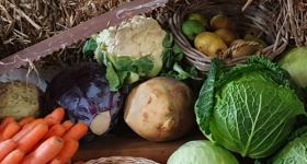 Erntedankgottesdienst in Gnutz; Pn. Trede