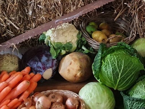 Erntedankgottesdienst in Gnutz; Pn. Trede