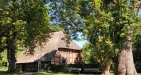 Baumwanderung im Naturerlebnisraum Schönwalde