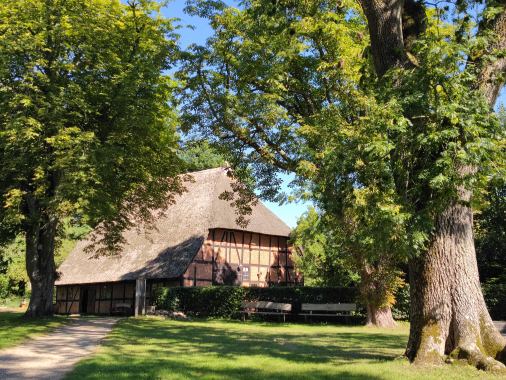 Baumwanderung im Naturerlebnisraum Schönwalde