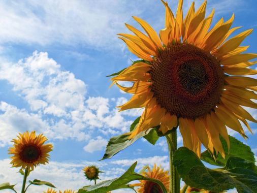 Segnungsgottesdienst