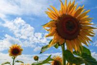 <a href="/veranstaltungen/detailansicht/event/segnungsgottesdienst-25.html" target="_self">Segnungsgottesdienst</a>
