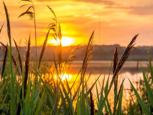 Gottesdienst in Jarplund