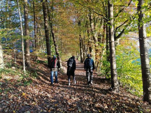 Pilgern durch die Jahreszeiten