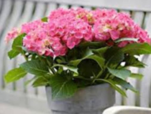 Sommerabendandacht auf dem Friedhof