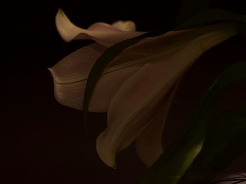 Chormusik in der Andacht zum Ewigkeitssonntag