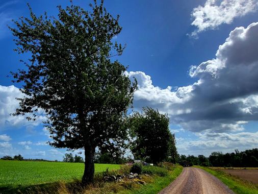 16. Sonntag nach Trinitatis