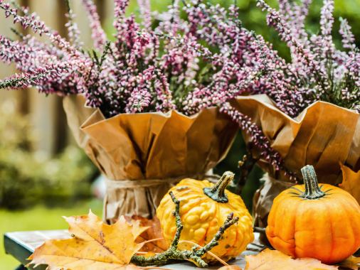 Gottesdienst zum Erntedank
