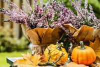 <a href="/veranstaltungen/detailansicht/event/gottesdienst-zum-erntedank-65.html" target="_self">Gottesdienst zum Erntedank</a>
