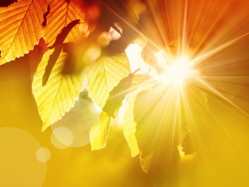 Segnungsgottesdienst