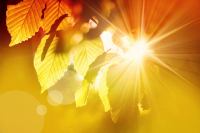 <a href="/veranstaltungen/detailansicht/event/segnungsgottesdienst-27.html" target="_self">Segnungsgottesdienst</a>