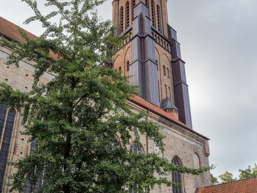 Mit der Schöpfung durch das Jahr