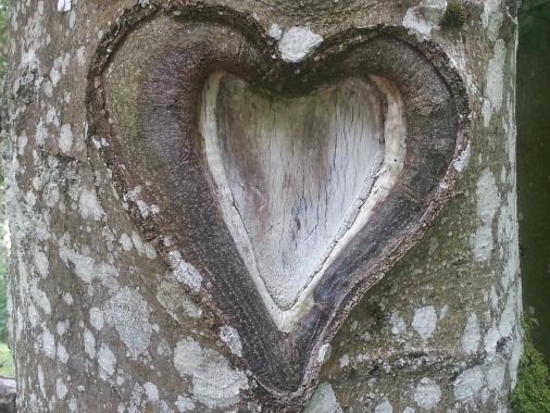 Gewaltfreie Kommunikation