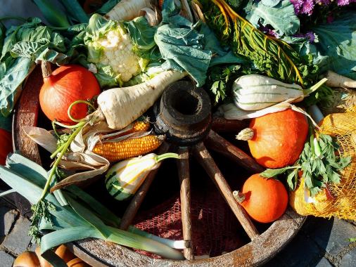 Erntedankgottesdienst mit anschließender Gemeindeversammlung